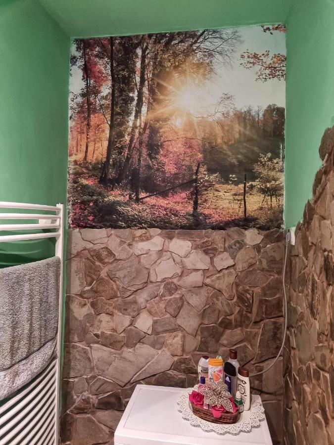 Tuendererdo Villa Miskolc Eksteriør bilde